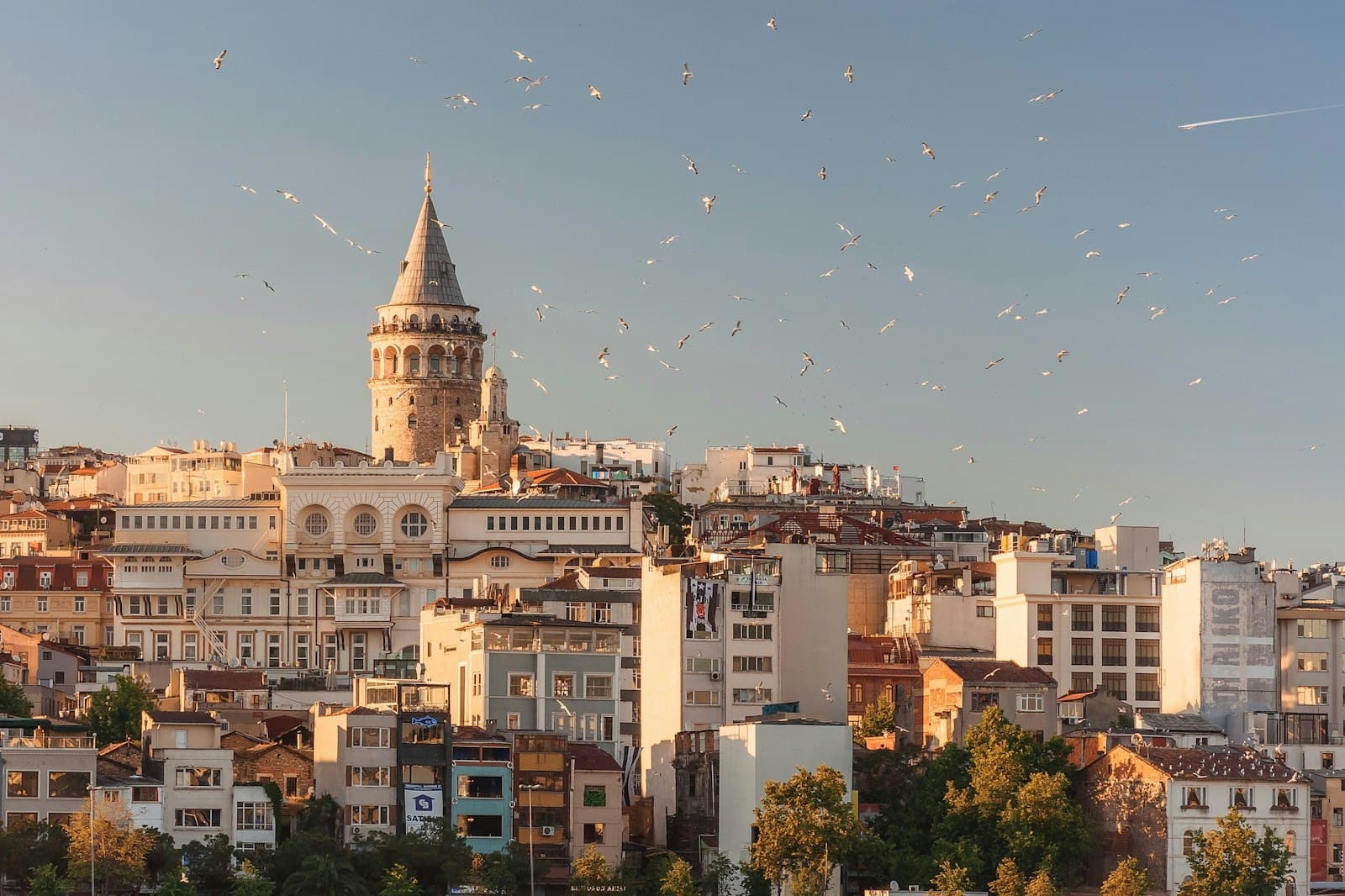 Yücel Üstündağ Gayrimenkul